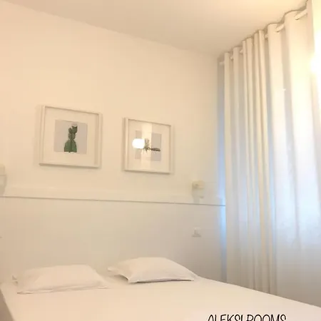 Hotel Aleksi *