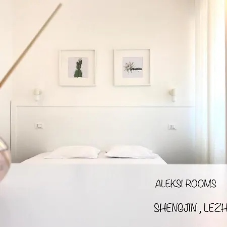 Aleksi Shëngjin